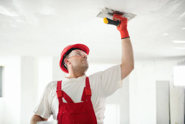 Best Ceiling Drywall Installation  in Edgecliff Village, TX